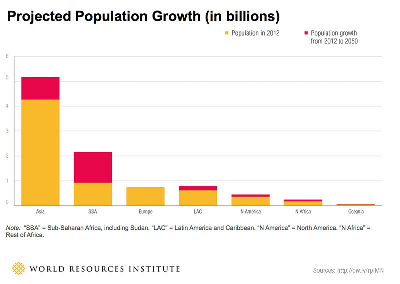 How to feed 9 billion people: the future of food and farming